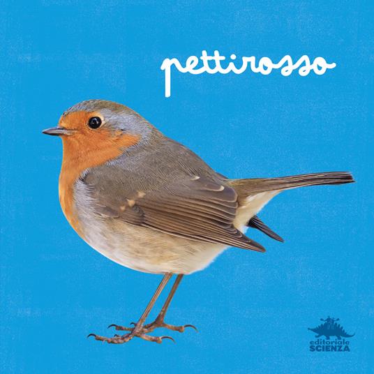 Sciarpa Nera Con Pettirosso – The Olive House® – Invernale E Britannica - Foto 5